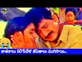 SUMAN PRIYAMAINA SRIVARU MOVIE SAD EMOTIONAL SONG AAMANI Telugusongs