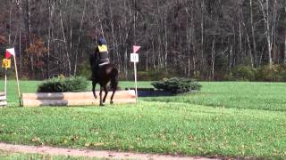 preview picture of video 'King Oak Farm, Schooling Show - Cross Country - Oct 21, 2012'