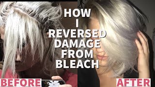 HOW TO GROW OUT BREAKAGE FROM BLEACH | HAIR ROUTINE FOR BLONDES