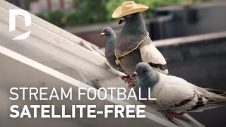 DirectTV For The Birds | Coach 