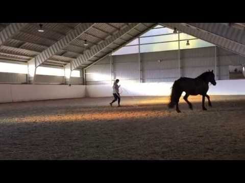 Tømmekjøring 29 08 2016