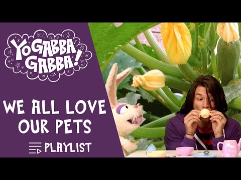 We All Love Our Pets - Taking Back Sunday | Playlist | @YoGabbaGabbaWildBrain