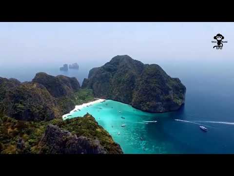 Edgard Mile - Forget Me Nots (ft. Beatrich)(Vide Music)