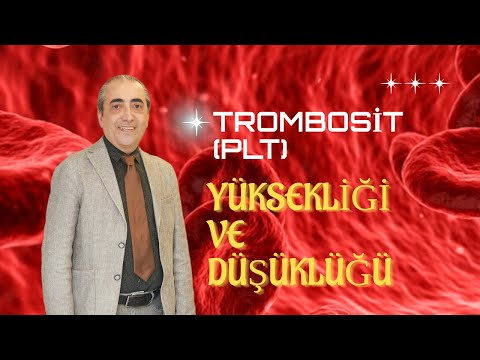 Trombosit (PLT) Yüksekliği ve Düşüklüğü Neden Olur?