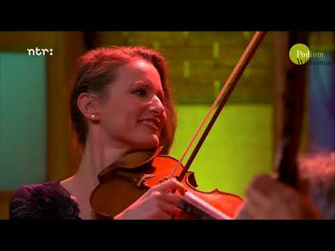 Mike Fentross en Fuse | Podium Witteman