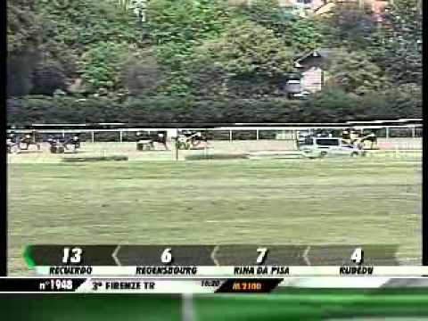 08/05/2013, Firenze , Premio Marin Faliero C.naz.