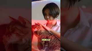 Ele não está doente #meow #cat #cats #gatos