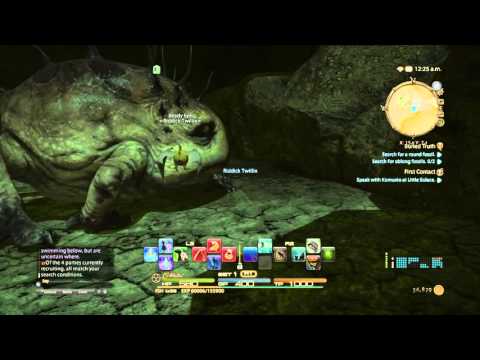 FFXIV finding fishing spots