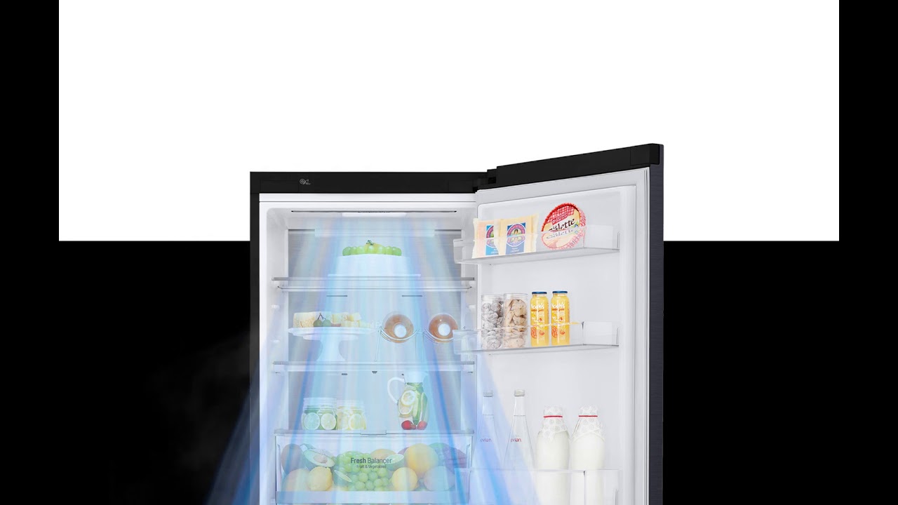 Двокамерний холодильник LG GA-B459SBUM video preview