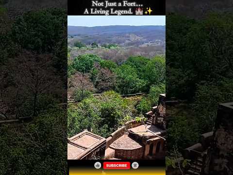 👉Ranthambore Fort Rajasthan 🏰 Inside India's Historic Jungle Fort | Sawai Madhopur Travel Guide 2026