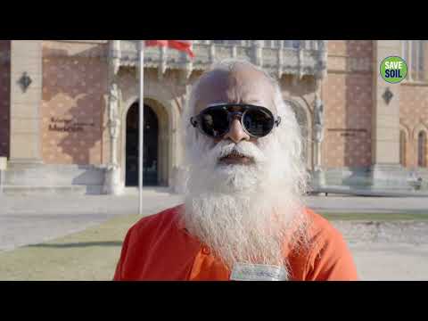Equanimity Means You Have Consciously Risen above  your Likes and Dislikes ~ Sadhguru | Daily Wisdom