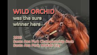 2005 Santa Ana Park Championship Race WILD ORCHID karera ng kabayo