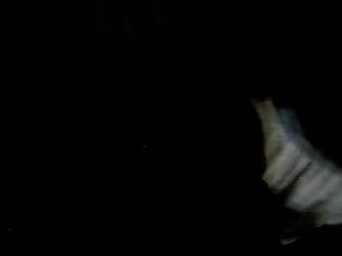 jeff e geovana rio 184