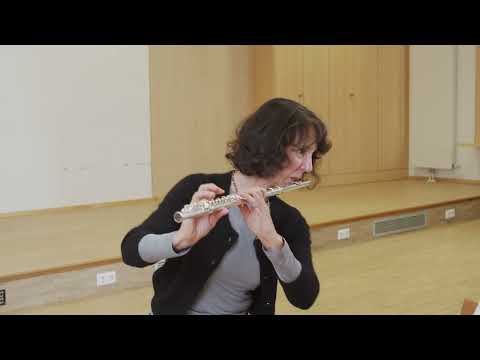 Querflöte "C´est la fille á simonete" - Joseph Lafite (D2)