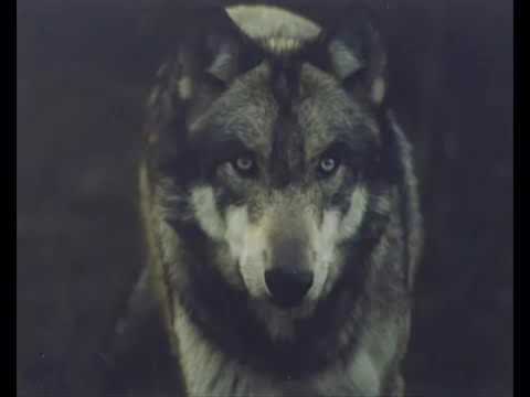 КАВКАЗ ЛЕЗГИНКА СУПЕР ЭНЕРГИЧНЫЙ Dj Nariman