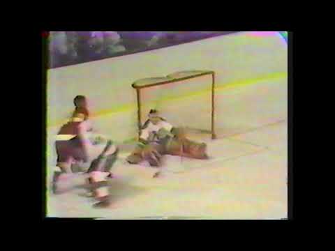 Minnesota North Stars Detroit Red Wings Oct. 16, 1969 Highlights