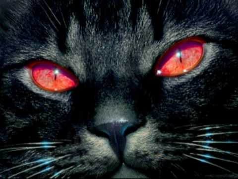 Frank Martiniq - Boita Musiq