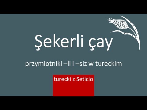 31. Turkish adjectives -li - siz from nouns - Turkish from Seticio - Lesson 31