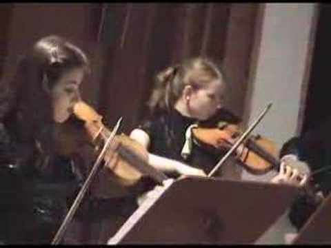 J.F.Fasch - Aria Largo