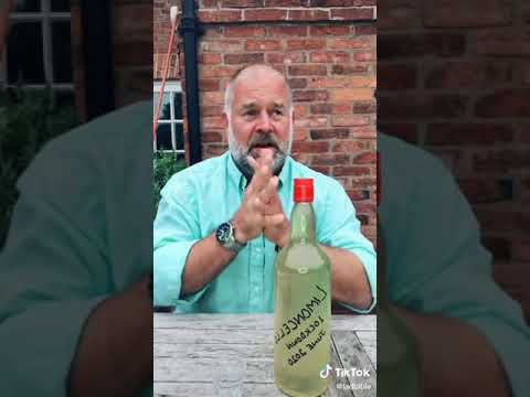 Homemade Limoncello Taste Test