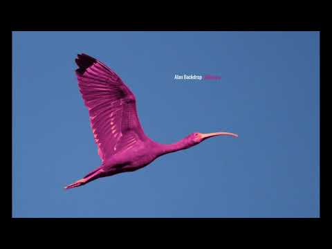 Alan Backdrop - Alpha Chapter