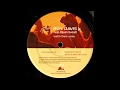 Roy Davis Jr Feat. Peven Everett  -  Watch Them Come (Watch Dem Ting Mix)