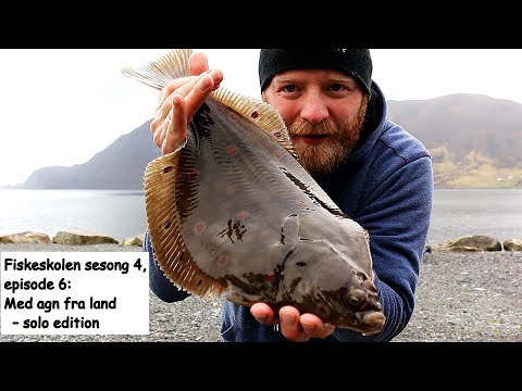 Kystmedefiskeri i Norge