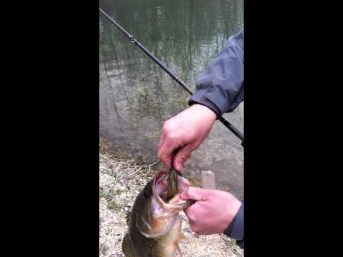 BLACK BASS 50CM  VIOLATOR JIG / BM-HOG