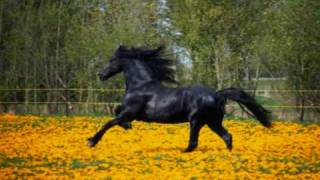 A MI HIJO!!,  A MON FILS !!.wmv