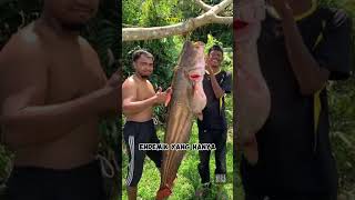 Download lagu Unique Facts about the Kapuas River #kapuashulu #uniquefacts #list5 mp3