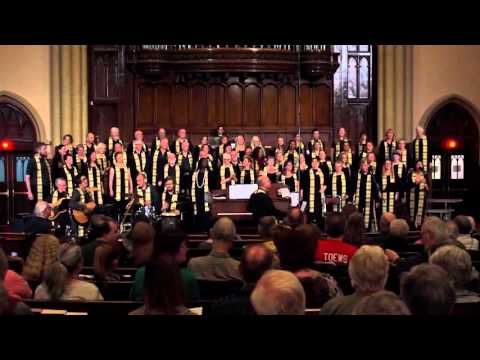 Three Little Birds by Bob Marley, performed by World Village Gospel Choir