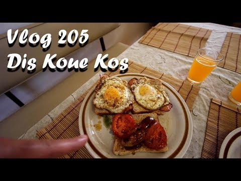 Vlog 205 Dis Koue Kos Skat Regtag Lekker Afrikaans - The Daily Vlogger in Afrikaans