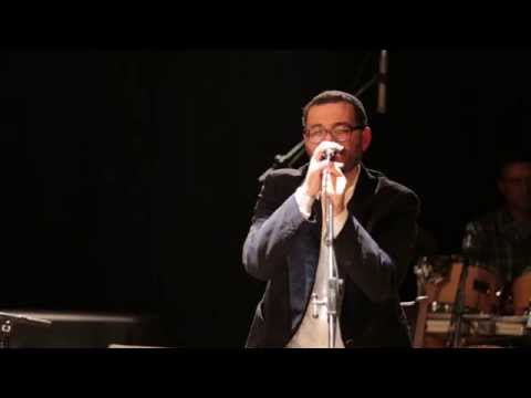 אילן דמרי - אצולה בצוללת הצהובה