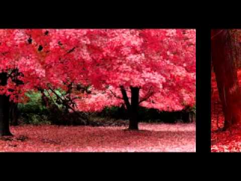 Brown Sneakers Feat. Majuri - You Get What You Give (Brown Sugar And Niko De Luka Remix)