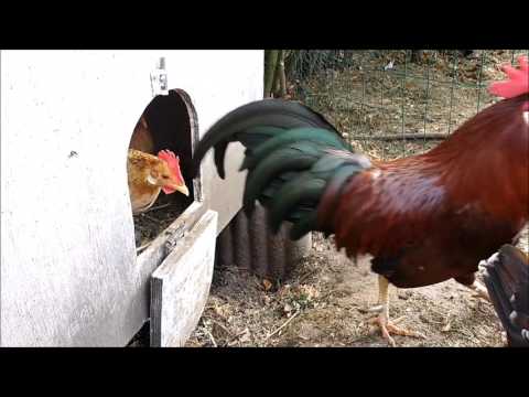 Morning rush 2017 may