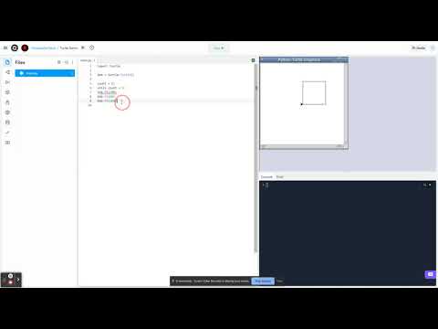 Python 3 Turtle 2 While Loops