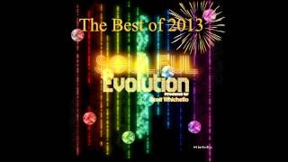 Soulful Evolution The Best of 2013 Show (88)