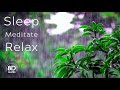 8D Rain Relaxing Rain Sounds With Distant Thunder Rain Sounds For Sleeping 8d Thunderstorm
