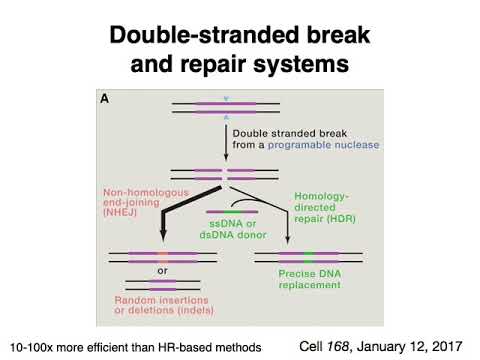 MCB 182 Lecture 4.3 - Gene editing (non CRISPR-Cas9)