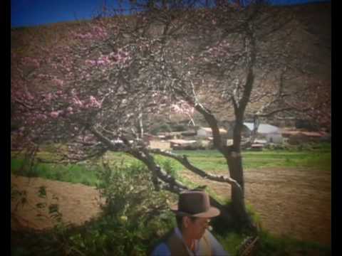 Alfredo Coca - Seleccion de huayños