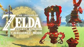 Master Mode for TOTK - TOTK Mod Showcase