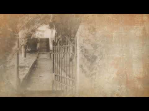 Danica Obrenić   Splet vranjanskih pesama