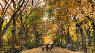 Autumn in New York Music Video