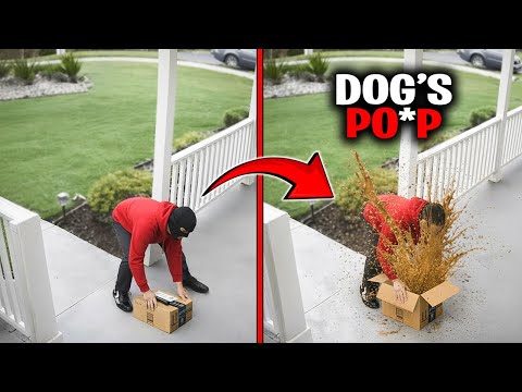 People Who Set Traps For Package Thieves