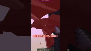 【マイクラ】新武器「槍」の最高の使い道とは？【ゆっくり実況】