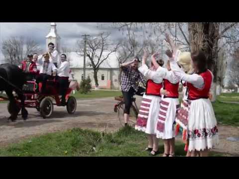 Dani Bănățeanu  ❌ Birtu'ce mi mie drag ❌