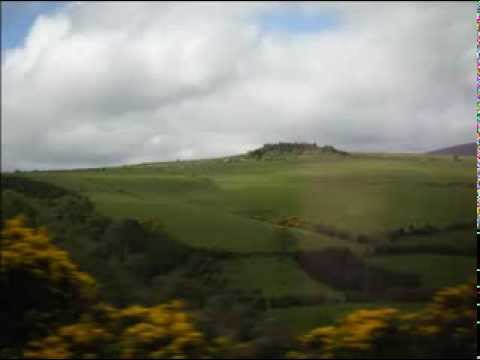 Rolling In the Barrel - The Morning Dew