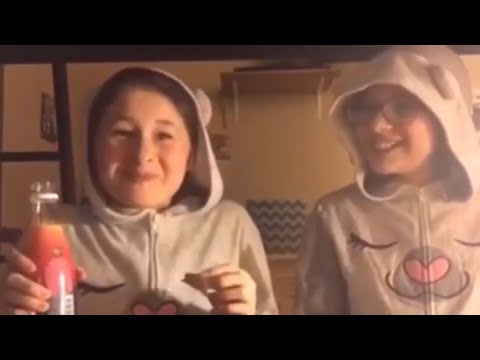 Funniest Llama Comedian Moments