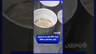 ضبط أكثر من 800 كلغ من الحشيش مخبأة في علب طماطم في مولينا بمالقة thumbnail