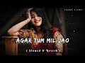 Agar Tum Mil Jao Slowed Reverb Lo Fi Songs Slowreverb Lofisong 90s Shreyaghoshal